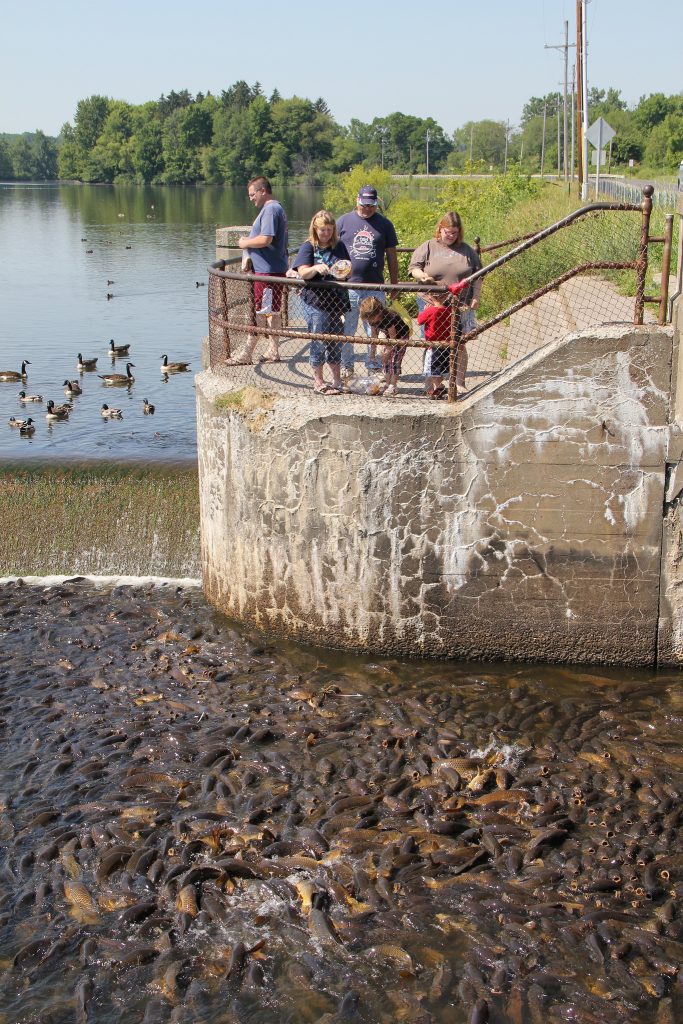 pymatuning spillway photo